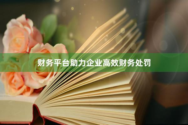 财务平台助力企业高效财务处罚